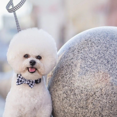 Baylabel Black'n'white muszka do obroży duża M/L