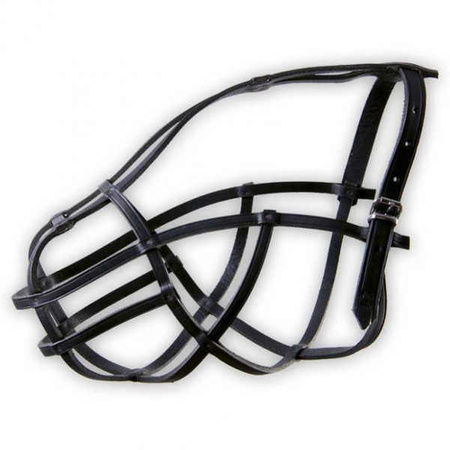 Dino kaganiec skórzany gwoździowany 21 buldog angielski