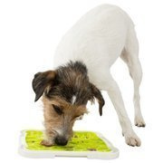 Taca na przysmaki Lick'n'Snack, TPR/PP, 20 × 20 cm