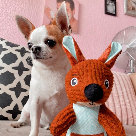 Kong Patches Cordz Kangaroo dla psa S