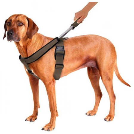 Patento pet szelki sport z uchwytem i zintegrowaną smyczą dla psa