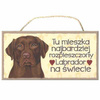 Tabliczka ozdobna dekoracyjna labrador brązowy 25x12,5 cm