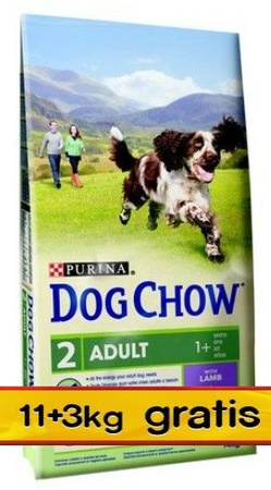 Purina dog chow adult jagnięcina 14kg (11+3kg gratis)