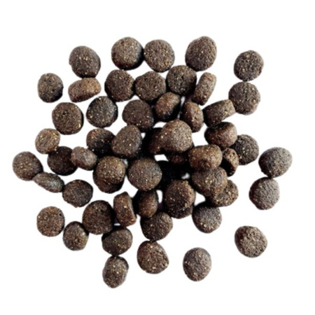 EAT SMALL Active karma sucha z insektów 2 kg