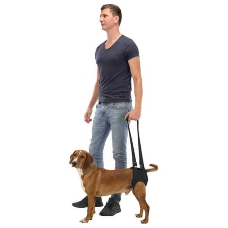 Uprząż rehabilitacyjna, M: 55–65 cm, czarna