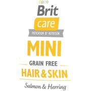 Brit care mini hair & skin salmon & heering