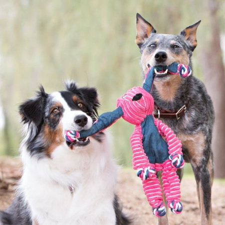 Kong Floppy Knots Bunny zabawka dla psa S/M