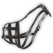 Dino kaganiec skórzany nitowany 16 bokser mały