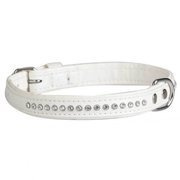 Dingo Obroża Glamour