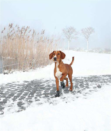 BUTY OCHRONNE Walker Active, XL, 2 szt.