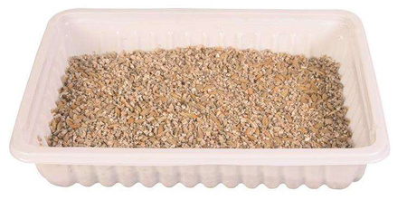 TRAWA DLA KOTA W POJEMNIKU 100g