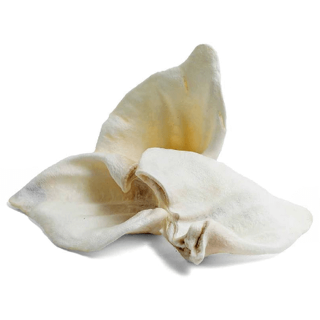 Petmex ucho wieprzowe białe dla psa 1 szt., 10 szt.