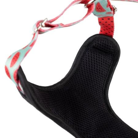 amiplay Discovery BeHappy szelki dla psa Watermelon M