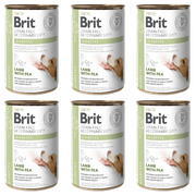 ZESTAW BRIT GF VETERINARY DIETS DOG CAN DIABETES 6 x 400g