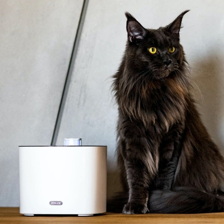 Zolux Iguazu fontanna, poidło dla kota i psa 3 l