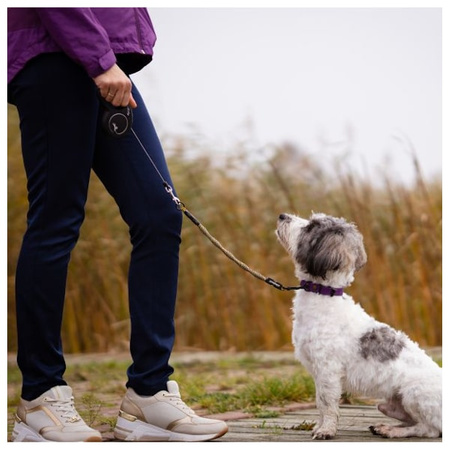 Adapter idealeash flextender maxi dla psa 