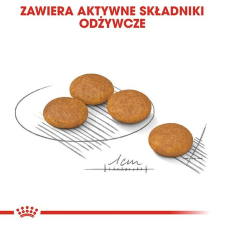 Royal canin mini dermacomfort karma sucha dla psów dorosłych, ras małych o wrażliwej skórze skłonnej do podrażnień 1kg