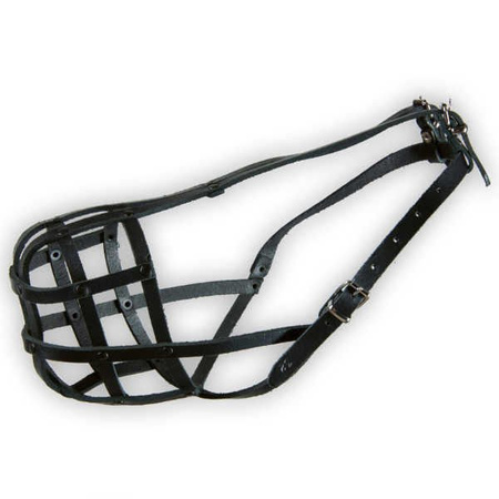 Dino kaganiec skórzany nitowany 32 rottweiler mały