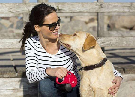 FLEXI SMYCZ New Classic SZNUREK  5 m , ROZM. S ,N IEBIESKA,12kg