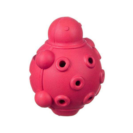 Barry King żółw na przysmaki, czarny L, 10 cm