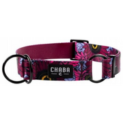 Chaba Obroża półzaciskowa story Lakota, L