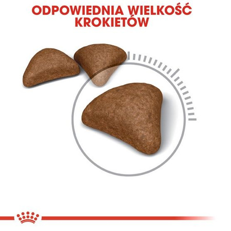 Royal canin hairball care karma sucha dla kotów dorosłych, eliminacja kul włosowych 400g