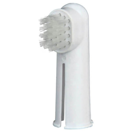 ZESTAW SZCZOTEK DO ZĘBÓW 2szt.