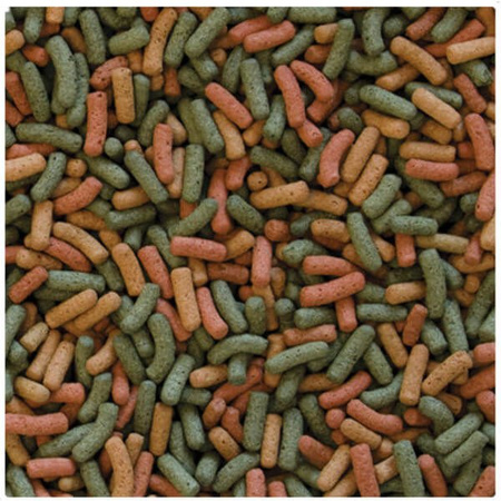 Tropical biorept w dla żółwi wodno-lądowych