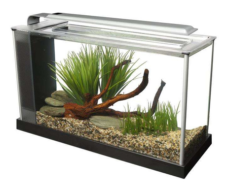 Akwarium szklane Fluval SPEC V z LED, 19L, 52 cm x 29.5 cm x 19 cm, czarne