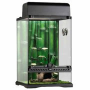 Zestaw las bambusowy , mały 30x30x45cm