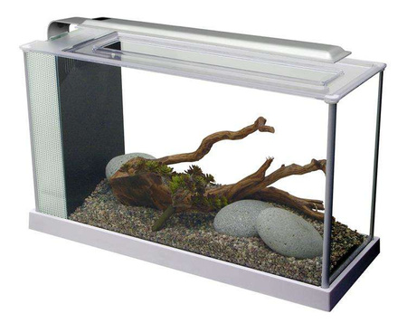 Akwarium szklane Fluval SPEC V z LED, 19L, 52 cm x 29.5 cm x 19 cm, białe