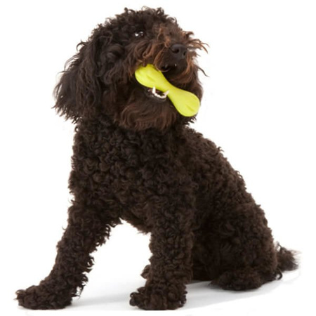 Zogoflex hurley dog bone gryzak dla psa 11 cm, 15 cm, 21 cm