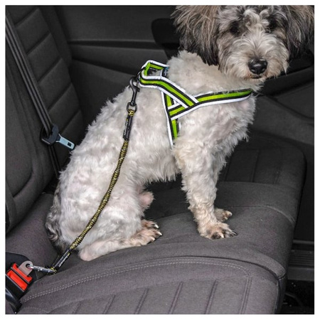 Adapter idealeash flextender maxi dla psa 