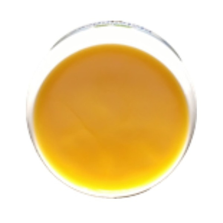 Canina Pharma NOVAGard Green pielęgnacja łap 50 ml