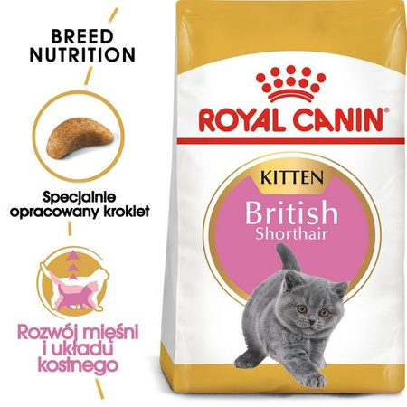 Royal canin british shorthair kitten karma sucha dla kociąt, do 12 miesiąca, rasy brytyjski krótkowłosy 400g