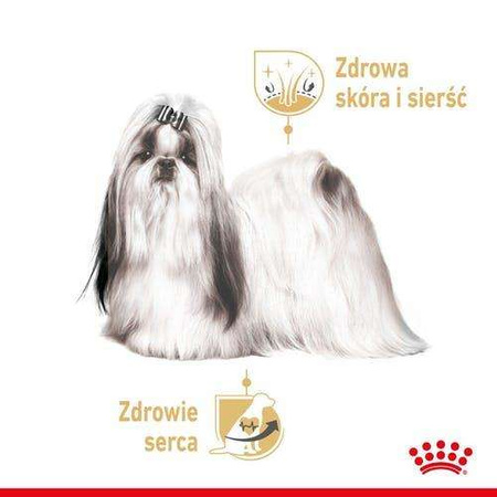 Royal Canin Shih Tzu Adult karma mokra dla psów dorosłych rasy shih tzu saszetka 85g