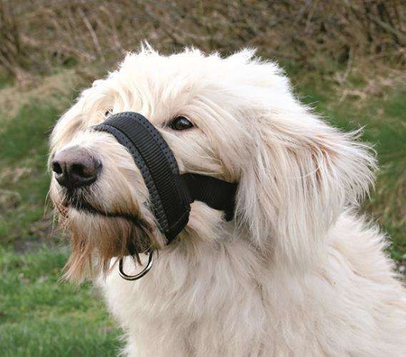 KAGANIEC NYLON 3  REG. PYSK