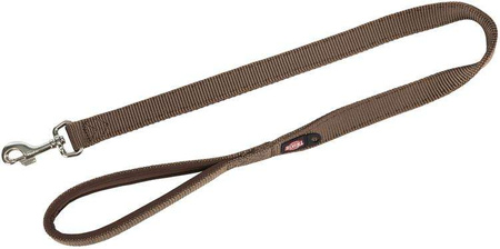 Premium, smycz, dla psa, orzech laskowy, taśma parciana, XS: 1,20 m/10 mm