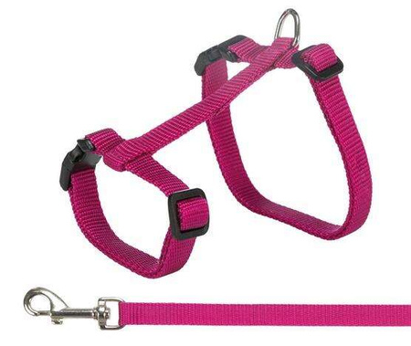 SZELKI DLA DUZEGO KOTA