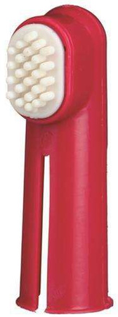 ZESTAW SZCZOTEK DO ZĘBÓW 2szt.