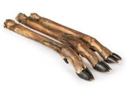 Balto racica sarny 5szt