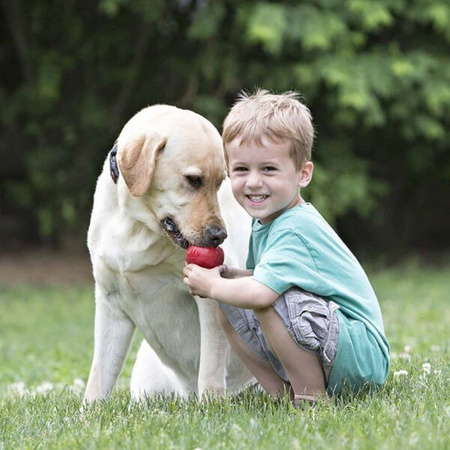 Kong classic zabawka na przysmaki dla psa xs, s, m, l, xl, xxl