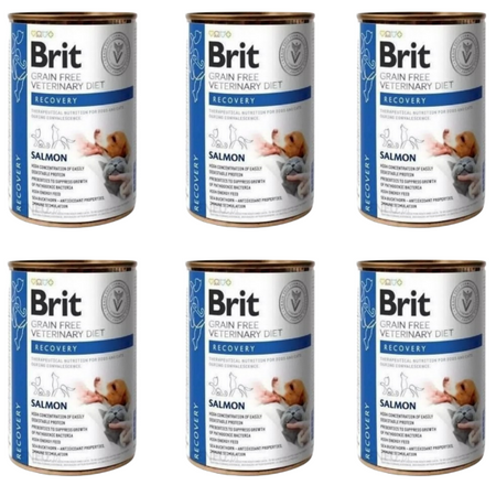 ZESTAW BRIT GF VETERINARY DIETS DOG&CAT CAN RECOVERY 6 x 400 g