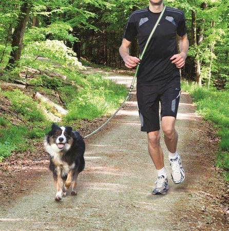 Smycz do joggingu, 1.33–1.80 m/20 mm, szaro/zielona