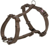 H-harness, szelki, dla psa, orzech laskowy, taśma parciana, S–M: 42–60 cm/15 mm