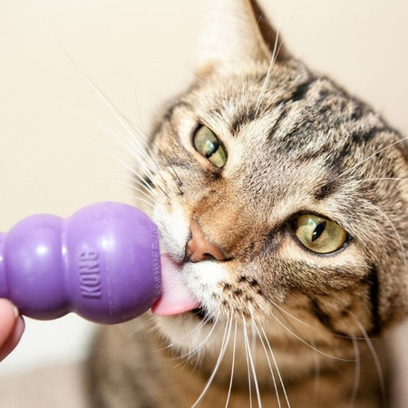 Kong Kitty do napełniania dla kota