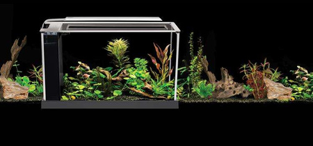 Akwarium szklane Fluval SPEC V z LED, 19L, 52 cm x 29.5 cm x 19 cm, czarne
