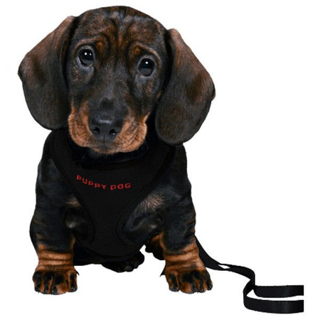 Trixie szelki dla szczeniaka miękkie 26-34 cm/10 mm, 33-47 cm/10 mm, smycz: 2 m