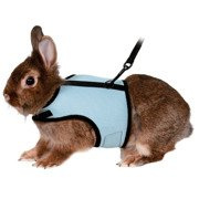 SZELKI PEŁNE DLA KRÓLIKA