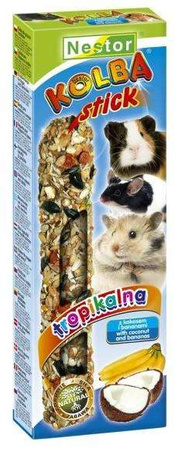 Nestor Kolba Gryzoń owoce tropikalne i kokos 2szt